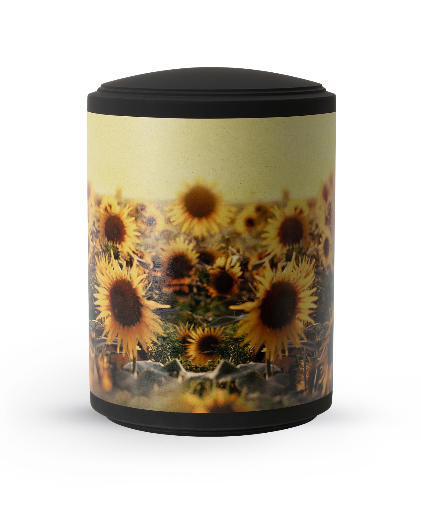 Bio Urne Edition Ventura Sonnenblumen